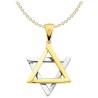 Deluxe 14k Two-Tone Gold Star of David Pendant | Jewelry | Judaica