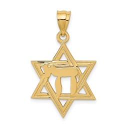 14k Yellow Gold Polished Chai in Star of David Pen | Jewelry | Judaica