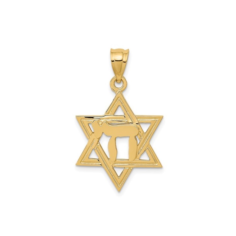 14k Yellow Gold Polished Chai in Star of David Pen | Jewelry | Judaica