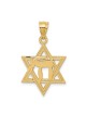 14k Yellow Gold Polished Chai in Star of David Pen | Jewelry | Judaica