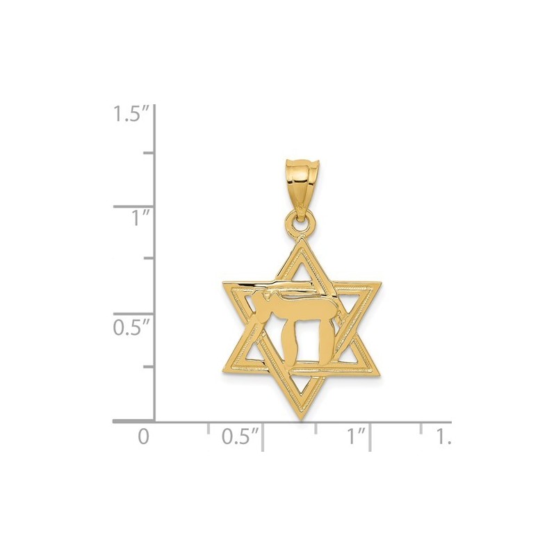 14k Yellow Gold Polished Chai in Star of David Pen | Jewelry | Judaica