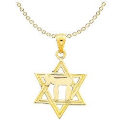 14k Yellow Gold Polished Chai in Star of David Pen | Jewelry | Judaica