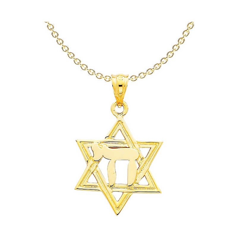 14k Yellow Gold Polished Chai in Star of David Pen | Jewelry | Judaica