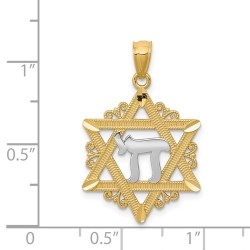 14k Yellow Gold Star of David With Rhodium-Plated  | Jewelry | Judaica