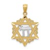 14k Yellow Gold Star of David With Rhodium-Plated  | Jewelry | Judaica