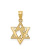 14k Yellow Gold Star of David Love Pendant | Jewelry | Judaica