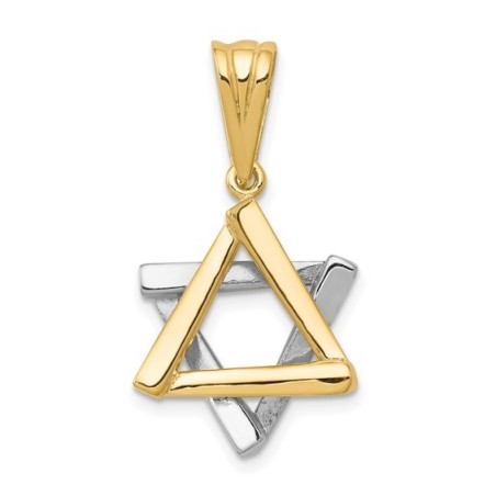 14k Two-Tone Gold Polished Star of David Pendant | Jewelry | Judaica