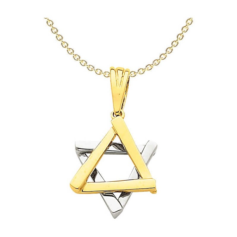 14k Two-Tone Gold Polished Star of David Pendant | Jewelry | Judaica
