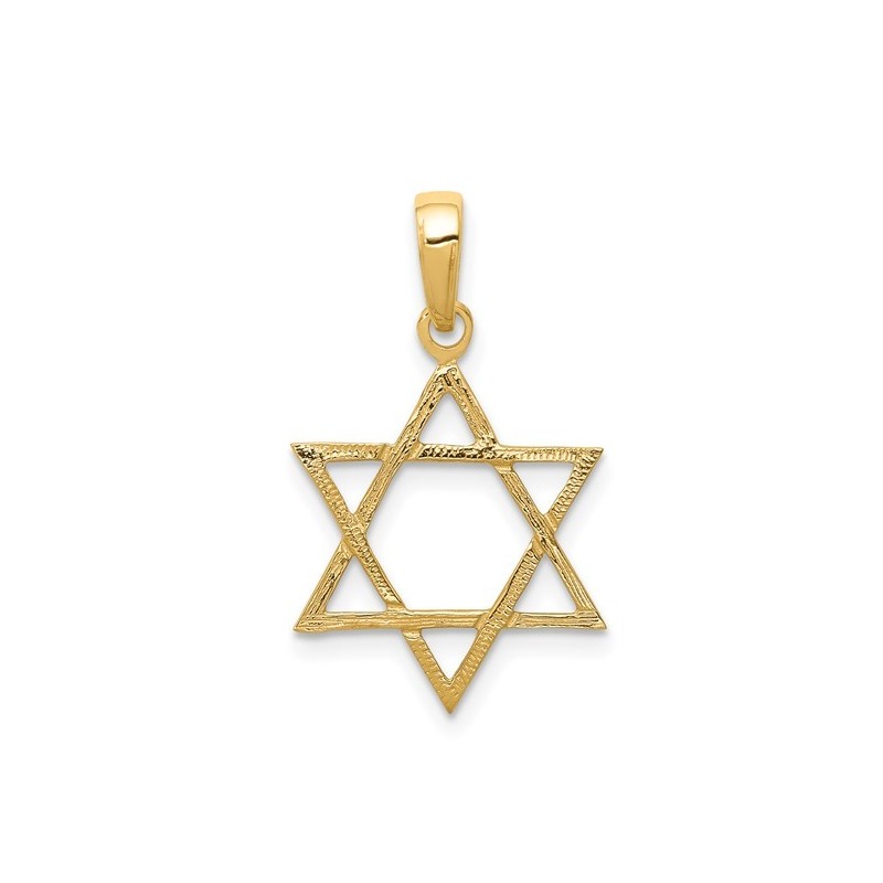 Large 14k Yellow Gold Textured Star of David Penda | Jewelry | Judaica