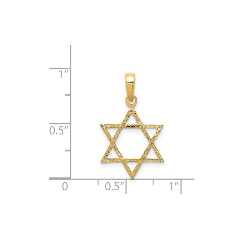 Large 14k Yellow Gold Textured Star of David Penda | Jewelry | Judaica