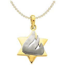 14k Two-Tone Gold Shin Star of David Pendant | Jewelry | Judaica