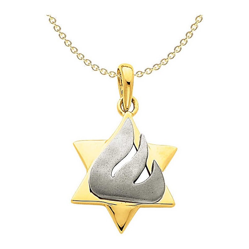 14k Two-Tone Gold Shin Star of David Pendant | Jewelry | Judaica