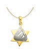14k Two-Tone Gold Shin Star of David Pendant | Jewelry | Judaica