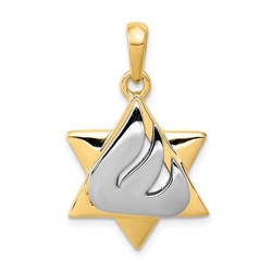 14k Two-Tone Gold Shin Star of David Pendant | Jewelry | Judaica