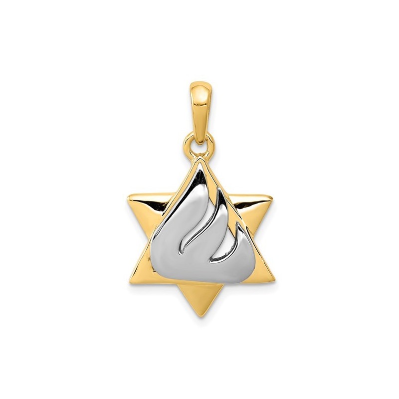 14k Two-Tone Gold Shin Star of David Pendant | Jewelry | Judaica