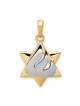 14k Two-Tone Gold Shin Star of David Pendant | Jewelry | Judaica