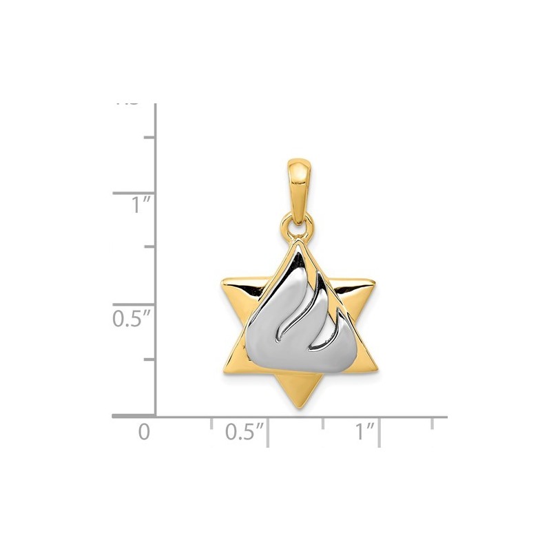 14k Two-Tone Gold Shin Star of David Pendant | Jewelry | Judaica