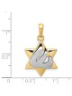 14k Two-Tone Gold Shin Star of David Pendant | Jewelry | Judaica