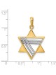 14k Two-Tone Gold Deluxe Star of David Pendant | Jewelry | Judaica