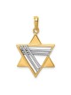 14k Two-Tone Gold Deluxe Star of David Pendant | Jewelry | Judaica