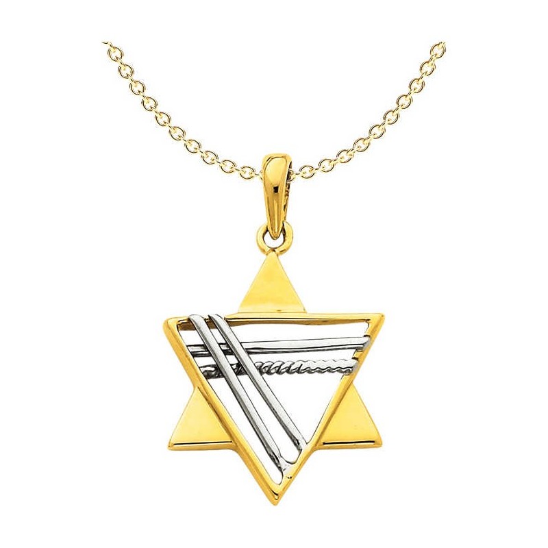 14k Two-Tone Gold Deluxe Star of David Pendant | Jewelry | Judaica