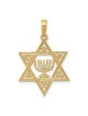 14k Yellow Gold Star of David Menorah Pendant With | Jewelry | Judaica