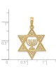 14k Yellow Gold Star of David Menorah Pendant With | Jewelry | Judaica
