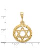 14k Yellow Gold Textured Star of David Circle Pend | Jewelry | Judaica