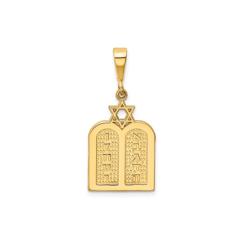 14k Yellow Gold Polished Torah with Star of David  | Jewelry | Judaica