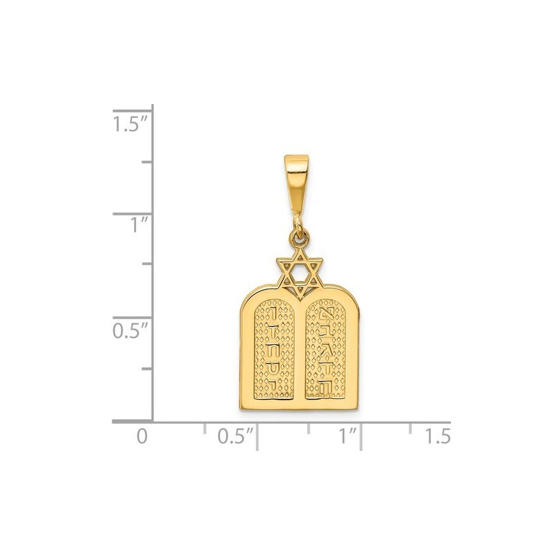 14k Yellow Gold Polished Torah with Star of David  | Jewelry | Judaica
