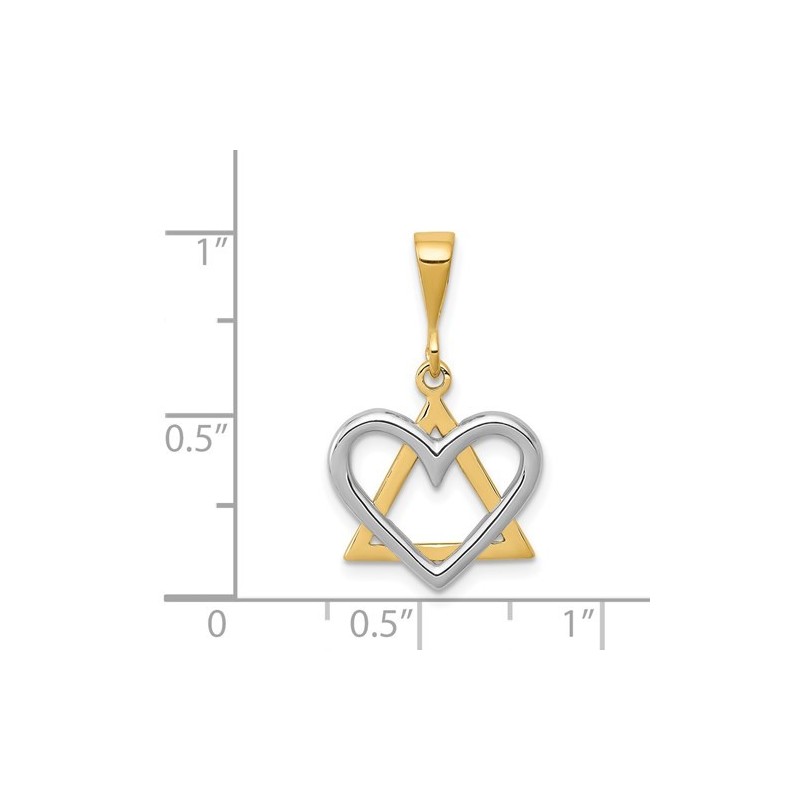 Small 14k Two-Tone Gold Heart Star of David Pendan | Jewelry | Judaica