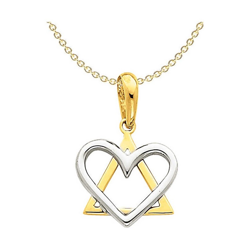 Small 14k Two-Tone Gold Heart Star of David Pendan | Jewelry | Judaica