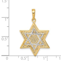 14k Two-Tone Gold Mesh Star of David Pendant II | Jewelry | Judaica