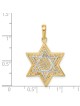 14k Two-Tone Gold Mesh Star of David Pendant II | Jewelry | Judaica