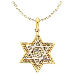 14k Two-Tone Gold Mesh Star of David Pendant II | Jewelry | Judaica