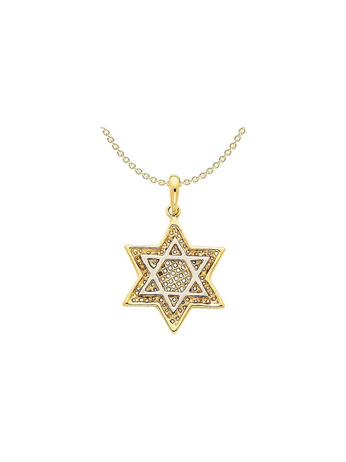 14k Two-Tone Gold Mesh Star of David Pendant II | Jewelry | Judaica