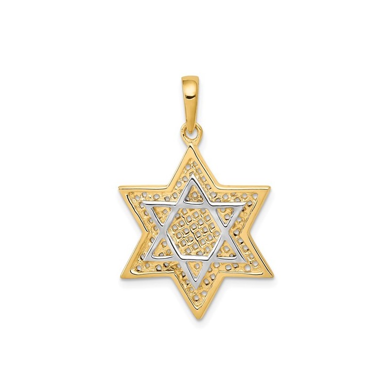 14k Two-Tone Gold Mesh Star of David Pendant II | Jewelry | Judaica