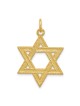 24k Gold-Plated Textured Sterling Silver Star of D | Jewelry | Judaica