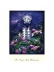 Sinai - Box of 10 Cards | Gifts | Judaica