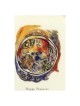 The Seder Plate - Box of 10 Cards | Gifts | Judaica