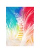 "Jacob's Ladder" Hand Signed, Size Large | Art | Judaica