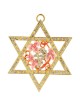 Gold Plated Crystalled Star of David Hanging Ornam | Art | Judaica