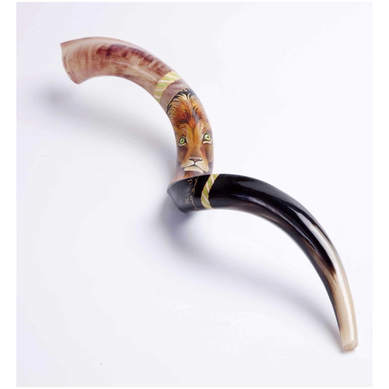 Lion of Judah Painted Yemenite Shofar - 40" | Rosh Hashanah | Judaica