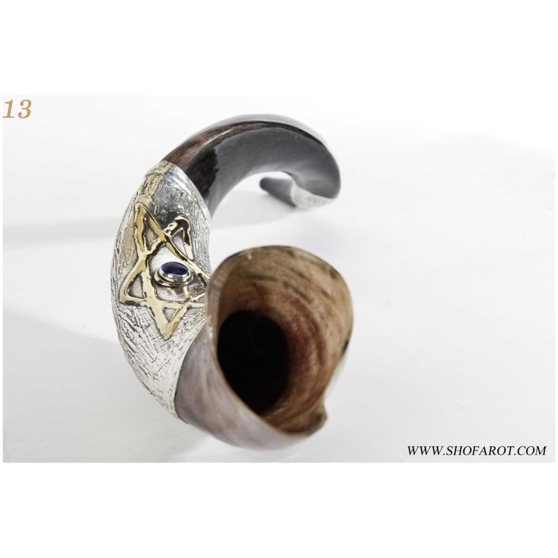 Star of David Silver Yemenite Shofar | Rosh Hashanah | Judaica