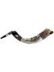 Star of David Silver Yemenite Shofar | Rosh Hashanah | Judaica