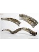Menorah and Leaves Silver Yemenite Shofar | Rosh Hashanah | Judaica