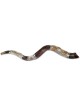 2 Lions Silver Yemenite Shofar | Rosh Hashanah | Judaica
