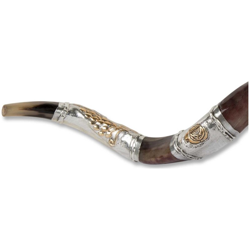 2 Lions Silver Yemenite Shofar | Rosh Hashanah | Judaica