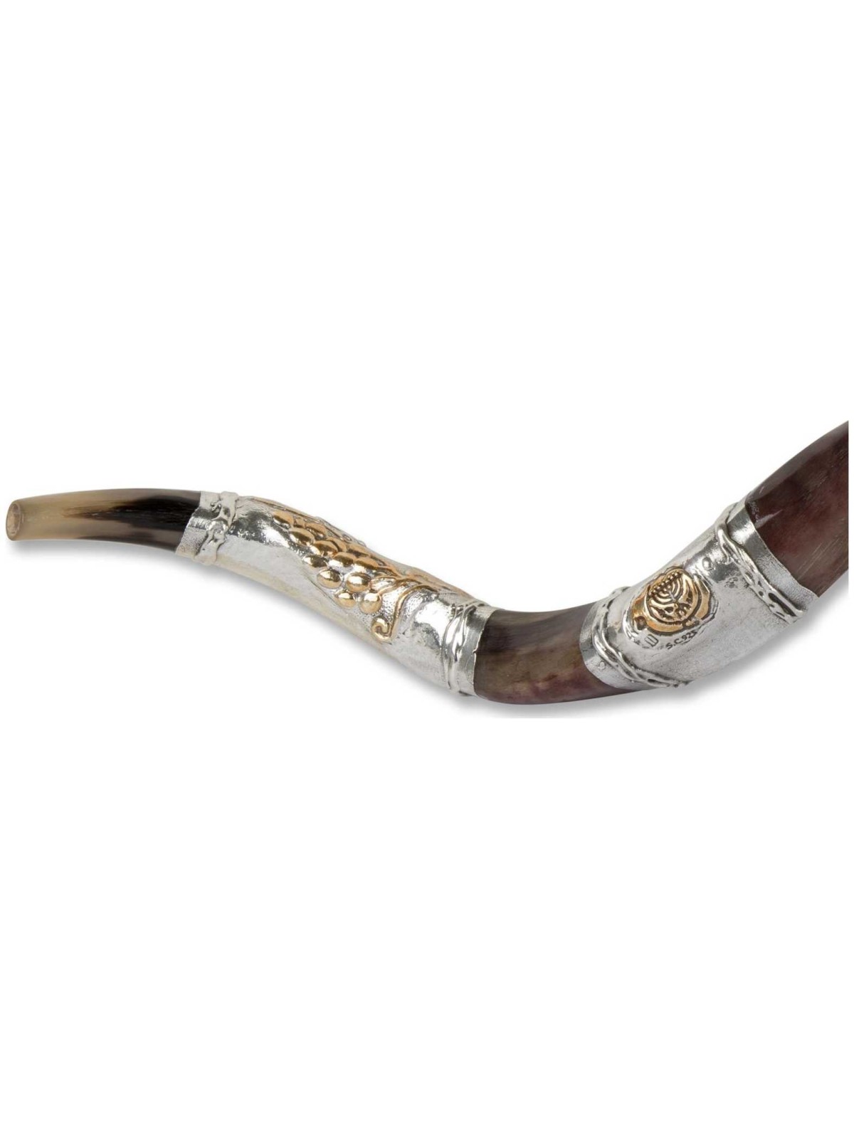 2 Lions Silver Yemenite Shofar | Rosh Hashanah | Judaica