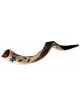 Star of David/Leaves Painted Yemenite Shofar - 40" | Rosh Hashanah | J
